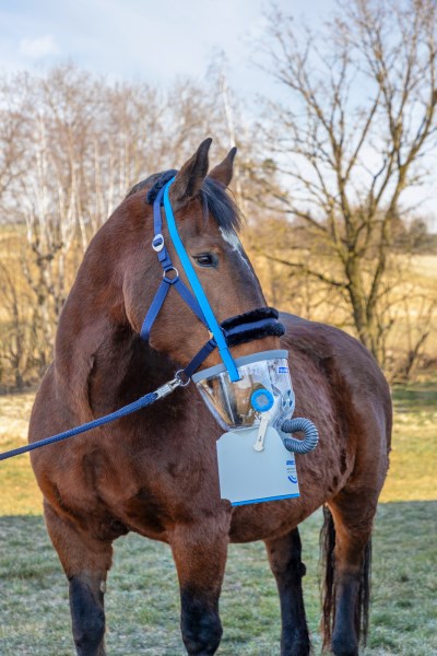 AirOne Flex - Inhalationsmaske inkl. Zubehör Ponymaske