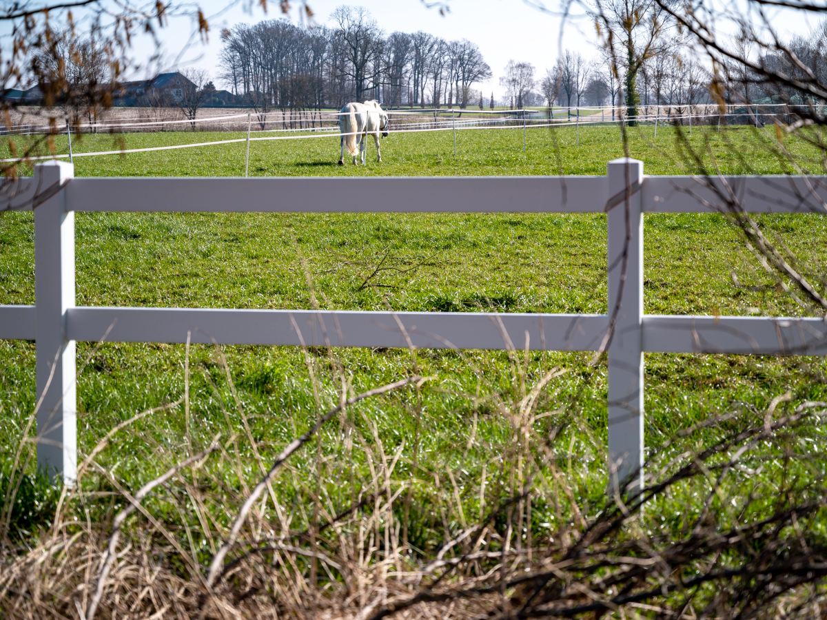 Reitplatz-Einzäunung System Ranch S2 | Sicher & Langlebig | 20x40m