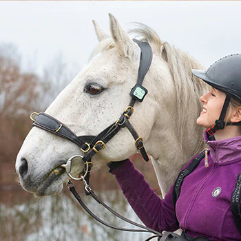 Guardian Horse - Unfall Tracker Schwarz