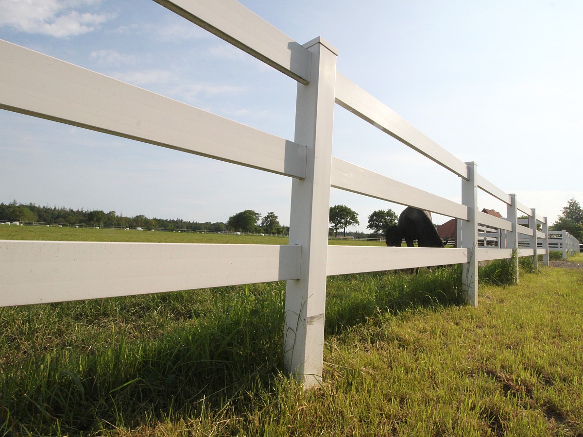 Reitplatz-Einzäunung System Ranch S3 | Sicher & Langlebig | 20x40m