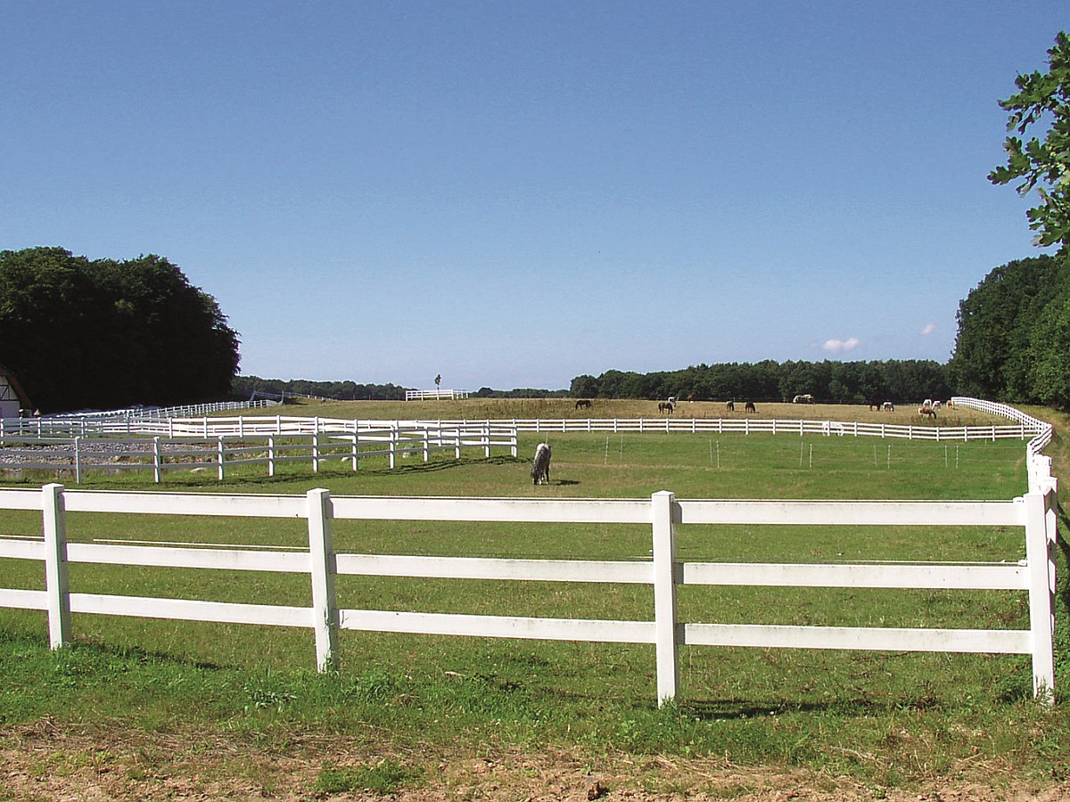 Reitplatz-Einzäunung System Ranch S3 | Sicher & Langlebig | 20x40m