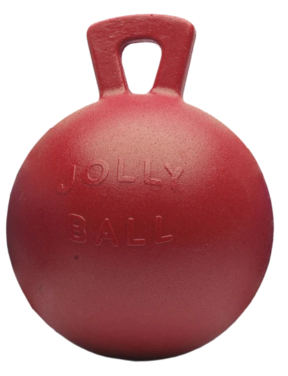 Jolly Ball 25cm Grün "Apfelduft"