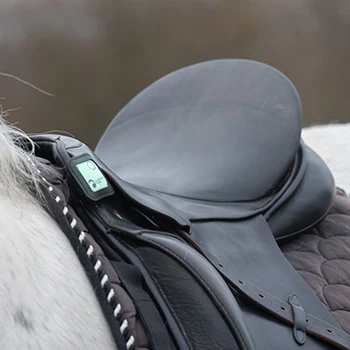 Guardian Horse - Unfall Tracker Schwarz